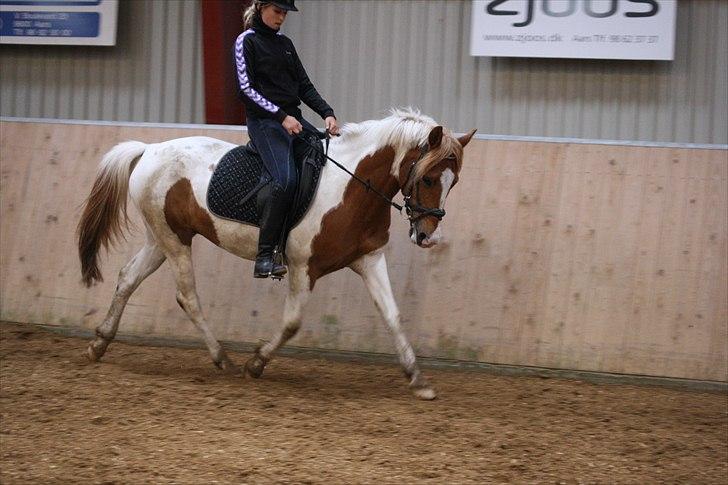 Pinto Amanda - "følg dine drømme. lav dine fôdspôr. spred dine vinger, følg det hjerte jeg gav dig. kig dig tilbage, men kig ej fôr længe. din verden er fremad." Diana Klein
 billede 11