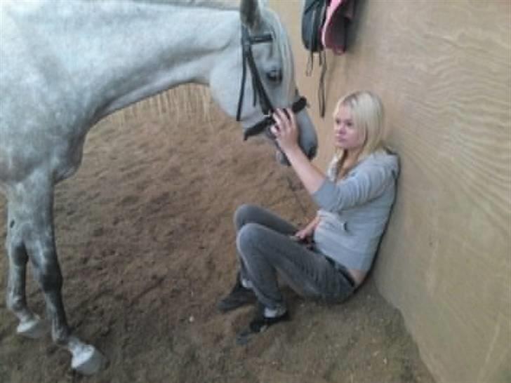 Arabisk fuldblod (OX) Farasha Al-Sahra † <3 billede 19