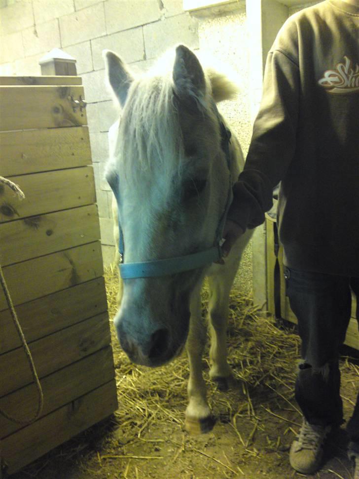 Anden særlig race Ia pigen  R.I.P :'(  †<3 - taget d. 9/9.09 billede 19