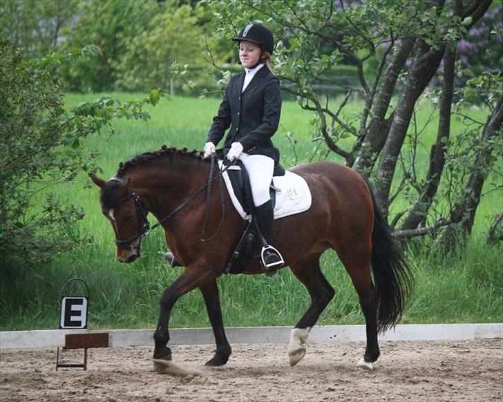 Anden særlig race CINORA - LC3, 2plads, i Bøgelund Foto; Lisa jørgnsen billede 12