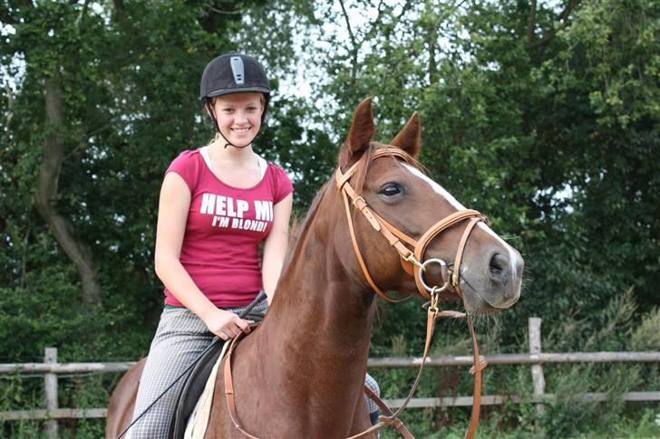 Anden særlig race Miranda - 11/9-09 .. Miranda og Nina. De er bare så gode sammen :) billede 8