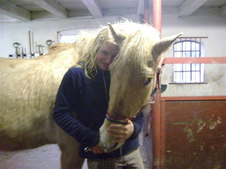 Fjordhest ~ <3Elmer/Elsi<3 ~ - Elmer<3<3 du er det bedste for miig!<3<3 mit ET&ALT<3  billede 5