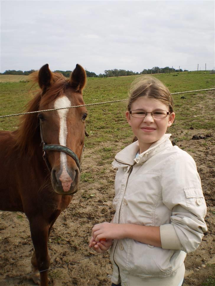 Anden særlig race Lady *Elevpony*  (Har redet) - Vi var et godt par<3 billede 15