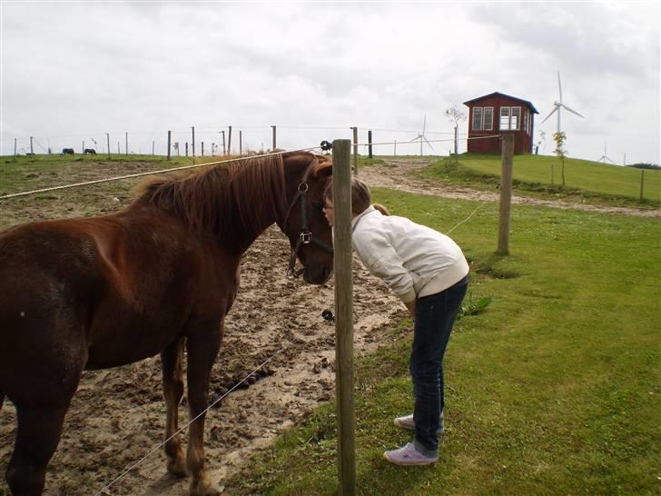 Anden særlig race Lady *Elevpony*  (Har redet) - "Et sidste kys" Jeg elsker dig Lady......!!!  billede 16