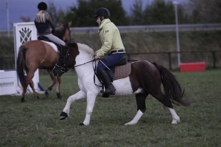 Anden særlig race Turbo *REDET/PASSET* - Galop på spring banen<3 billede 7