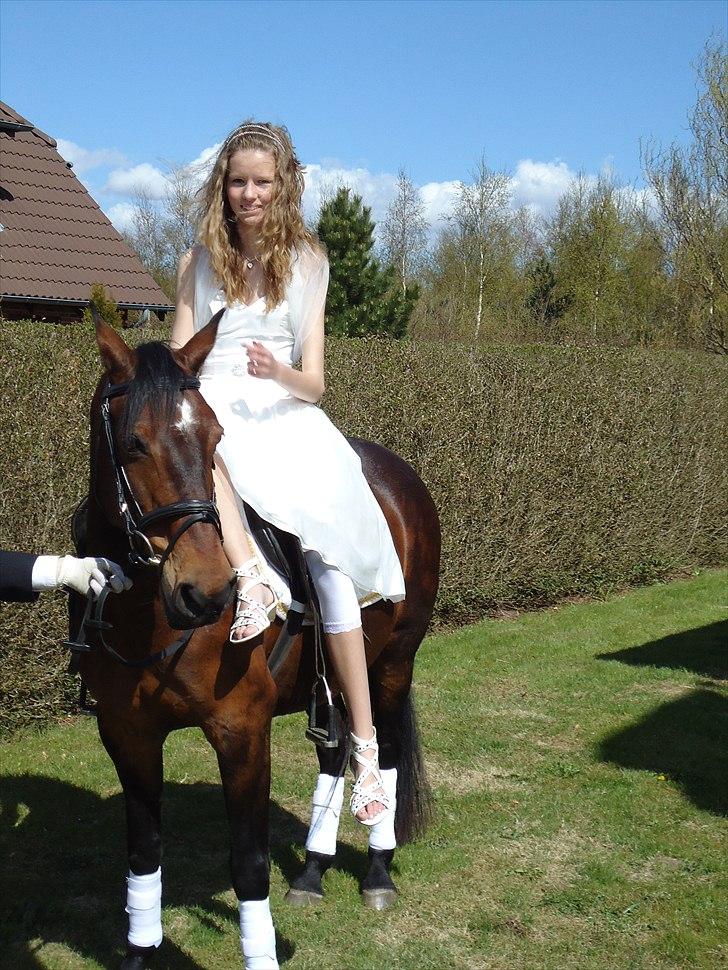 Anden særlig race Hedegårds Lucy - Min konfirmation 2010.
Don't cry because it's over, smile because it happened<3 billede 10