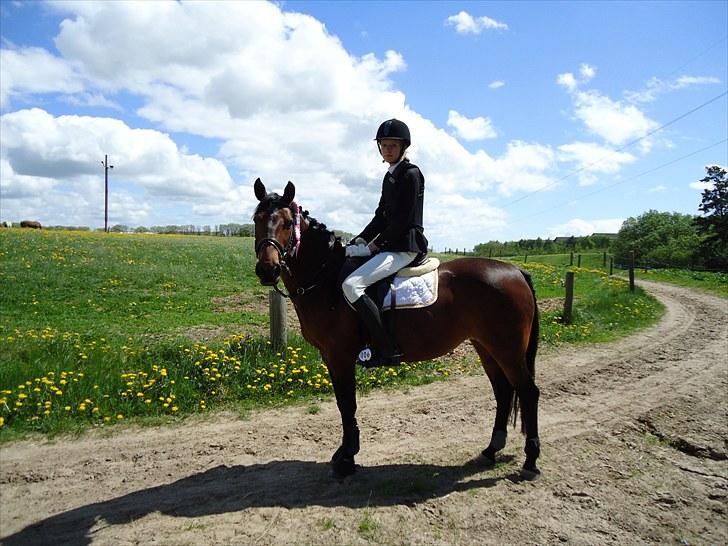 Anden særlig race Hedegårds Lucy - -Ét team! -Friends come friends go, but true friend never go billede 6