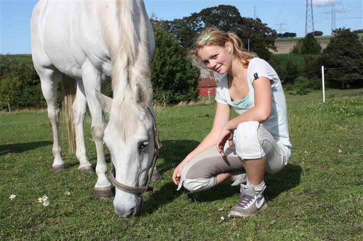 Anden særlig race Pacha Rex Arabi billede 16