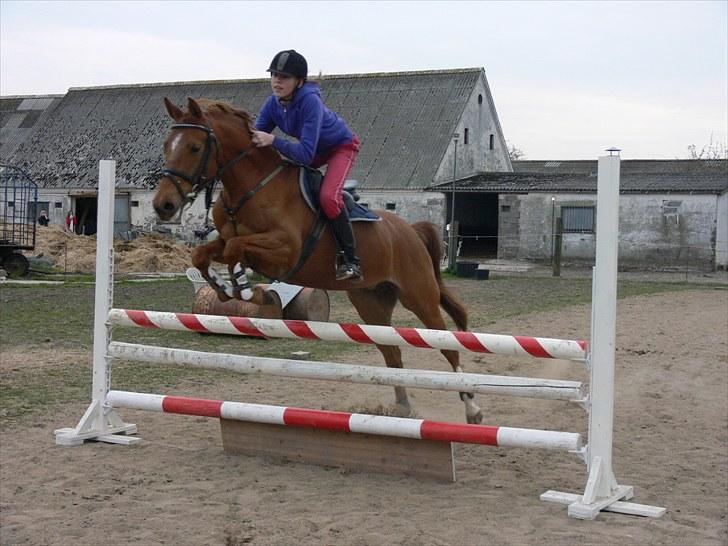 DSP Lille Asserholt Naomi [KLUBMESTER 2011] - Elsker det billede ! :O billede 10