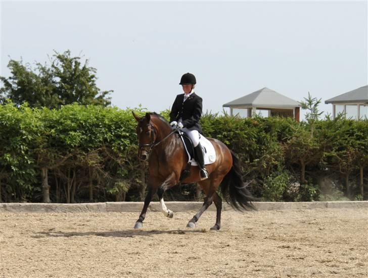 Tysk Sportspony Dolce *B-pony* Solgt :'( - Solrød 09 - =) smukke pigen :* ♥ billede 14