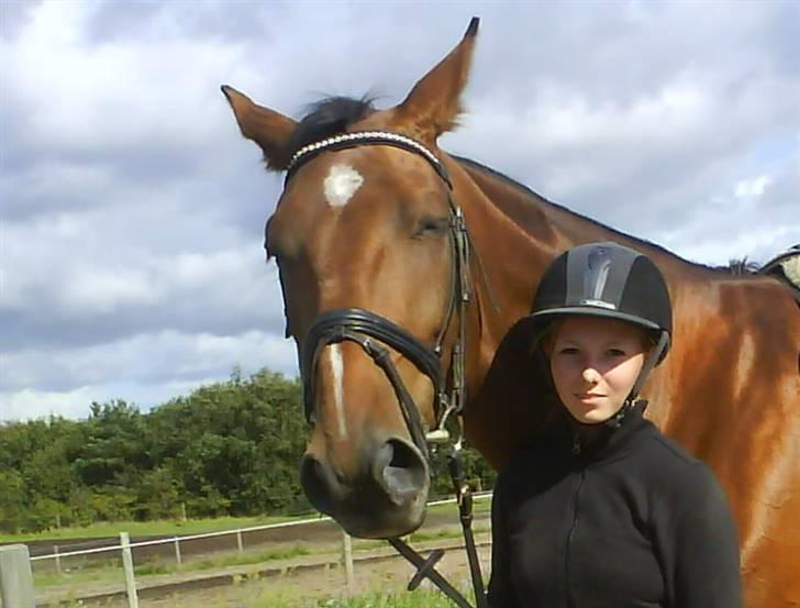 Dansk Varmblod chateau - efter undervisning på efterskolen.. billede 8