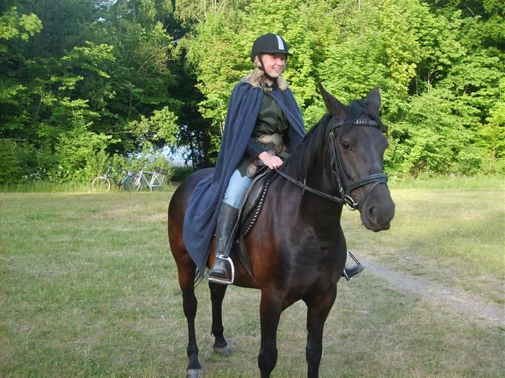 Anden særlig race Gabby billede 19