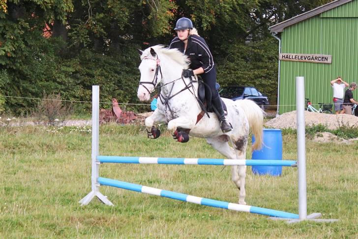 Anden særlig race Karpaccio *Byttet* - mit yndlings billed :D billede 17