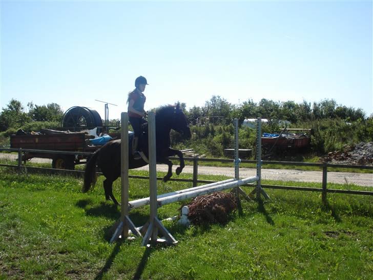 New Forest gl part:´( Bonette<3 - #19 godt spring billede 19