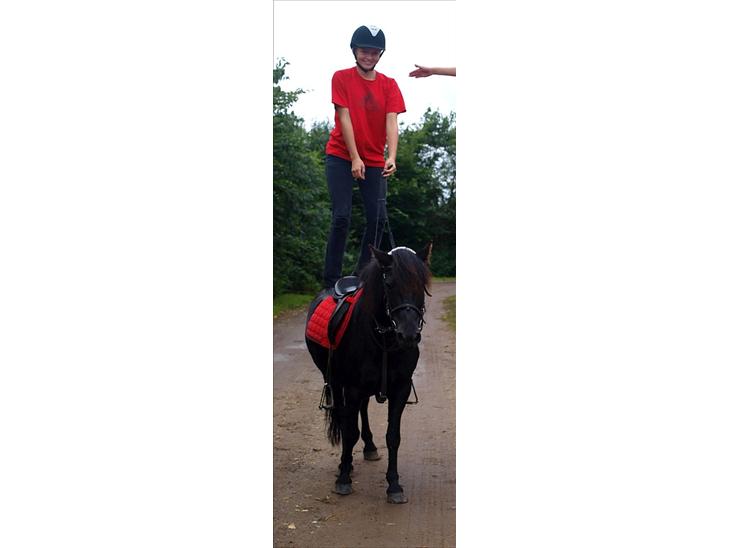 {{currentPhoto.altText}} billede {{currentPhoto.number}}