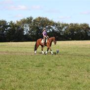 Traver Fynske Fredag