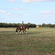 Traver Fynske Fredag