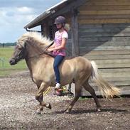 Islænder Jóki Fra Voreslyst [Tidl. Part]