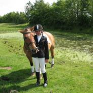 Anden særlig race Mette