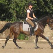 Anden særlig race SGS Ferrari B-pony. R.I.P