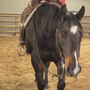 Quarter JMC Brodway Rocky