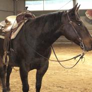 Quarter JMC Brodway Rocky