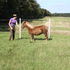 Anden særlig race Sally