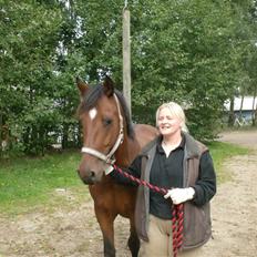 Anden særlig race Cherif ( solgt )