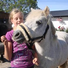 Anden særlig race Skimmel †  miss you †