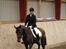 Dansk Varmblod Prinsesse Nathalie <3 † - d. 5. september 09 [foto: maja] 1. plads :D
