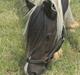 Tinker Lunte