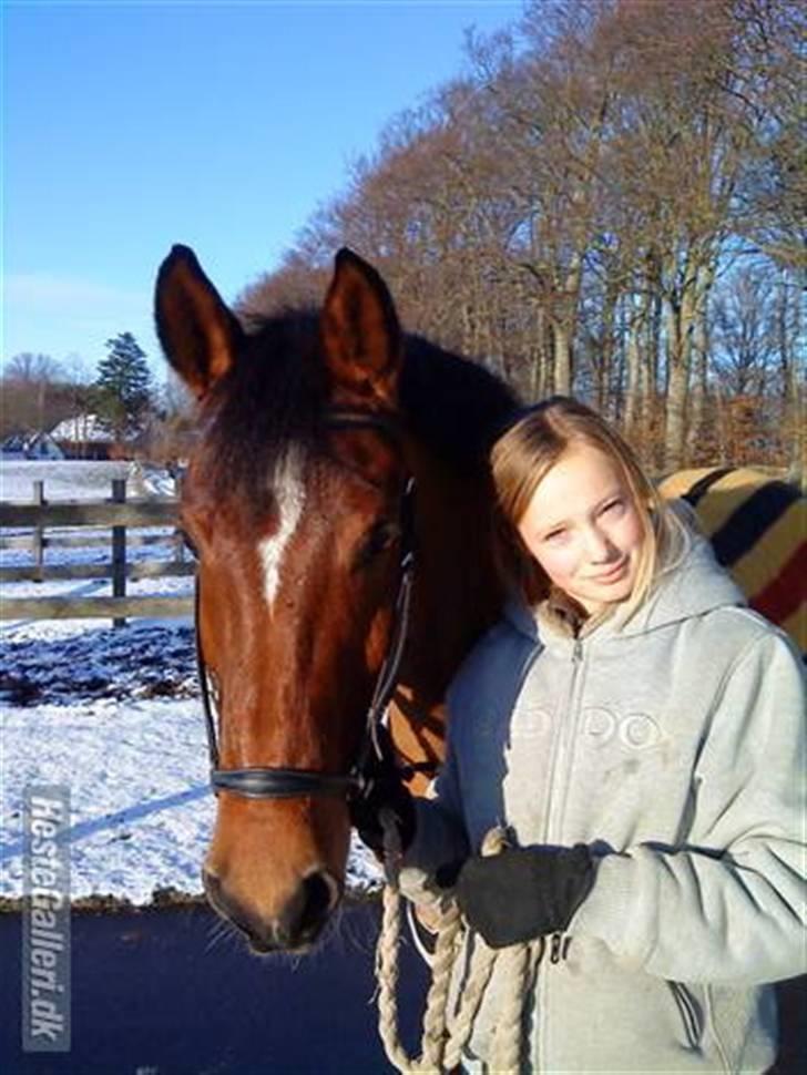 Anden særlig race Indy Boy Lærkebo Wonderboy - Vinter 2008, på træk tur. Foto: Mor billede 13