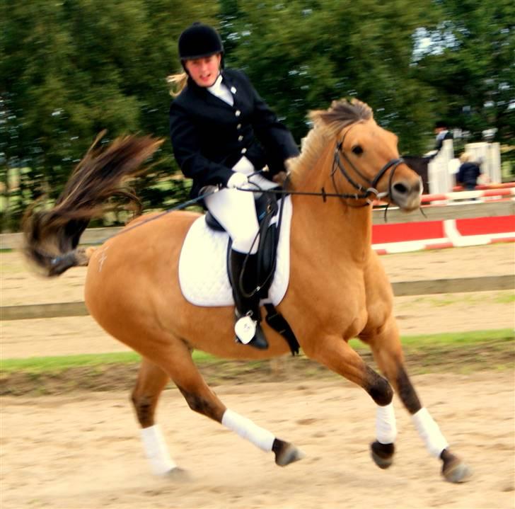 Anden særlig race Seven - foto line min skat taak billede 11