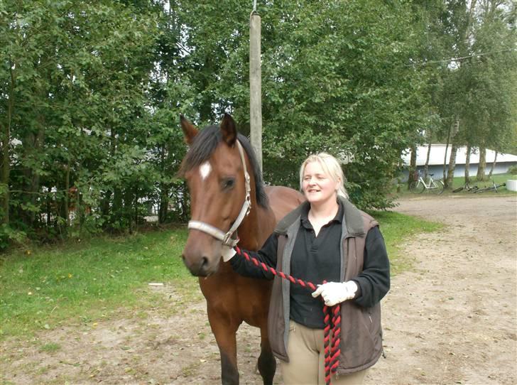 Anden særlig race Cherif ( solgt ) - her ses jeg med min nye ejer billede 1