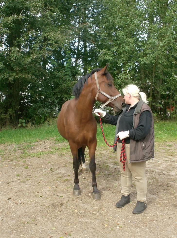 Anden særlig race Cherif ( solgt ) - min nye ejere får her et kys billede 3