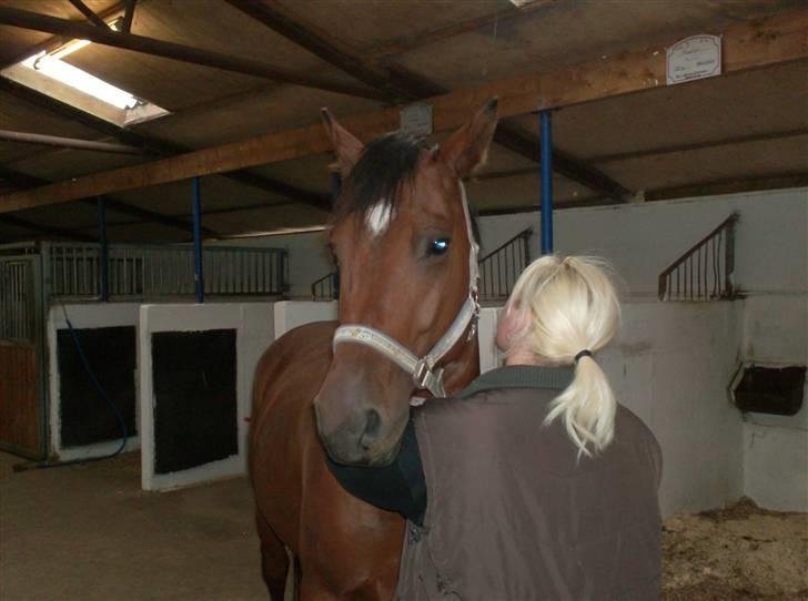 Anden særlig race Cherif ( solgt ) - her nusser vi  billede 4