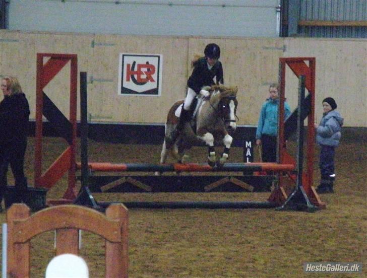 Anden særlig race Pegasus - herning :D  sidste "ude" stævne :´(
LC eller LB :-) billede 16