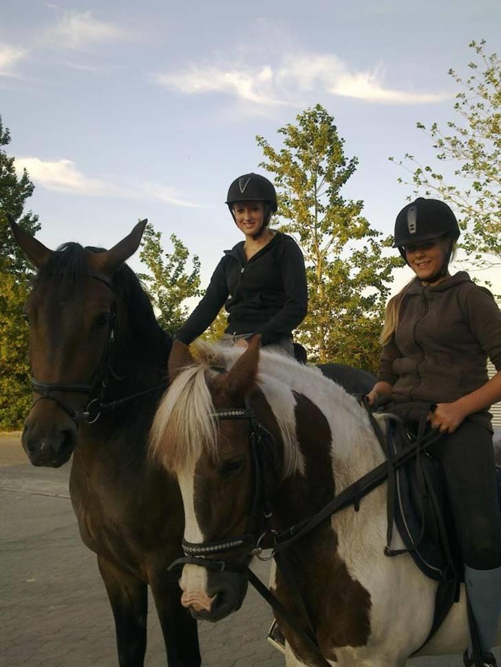 Anden særlig race Zenta  billede 19