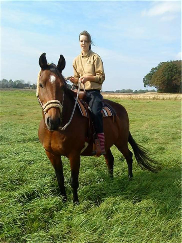 Anden særlig race Naja billede 6