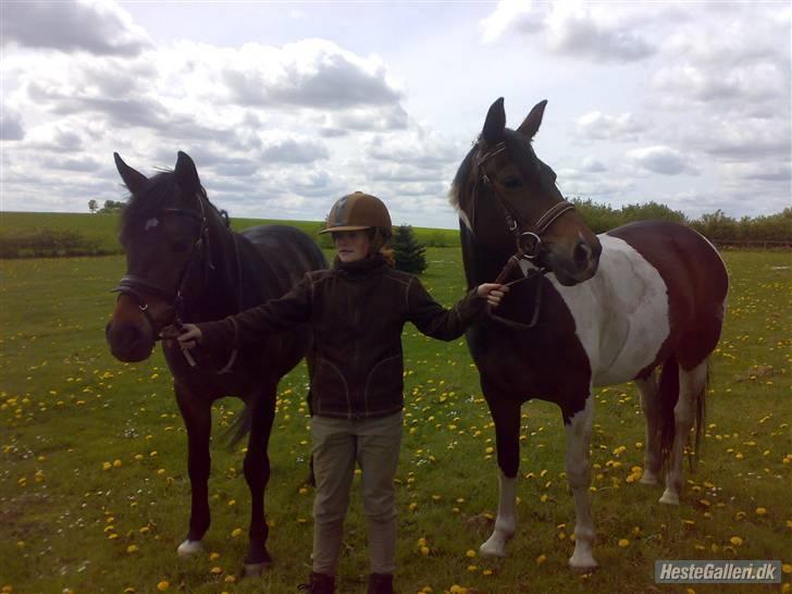 Anden særlig race *Pondus* SOLGT. - Pondus efter ridetur med mor/Plet :) billede 9