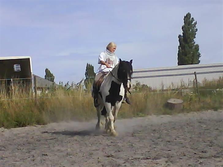 Tinker Lunte billede 5