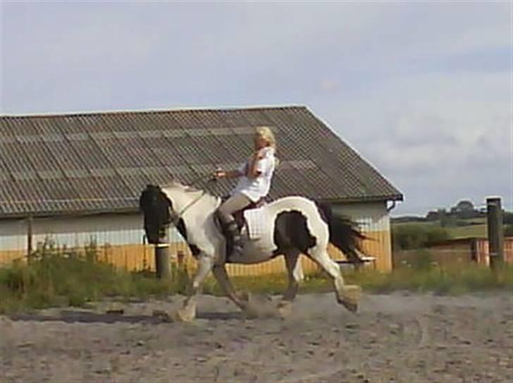 Tinker Lunte billede 6