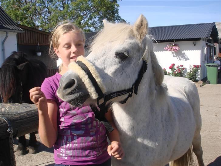 Anden særlig race Skimmel †  miss you † - 1)  billede 1