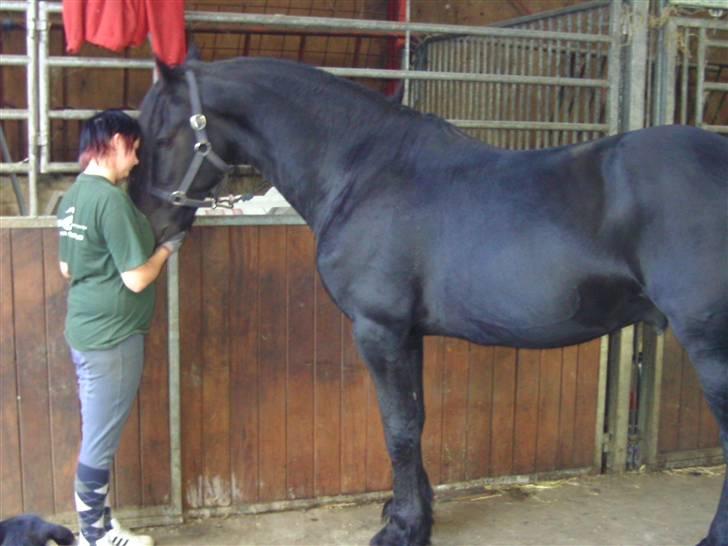 Frieser Liekele billede 3