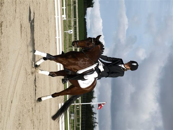 Anden særlig race lucky star billede 13