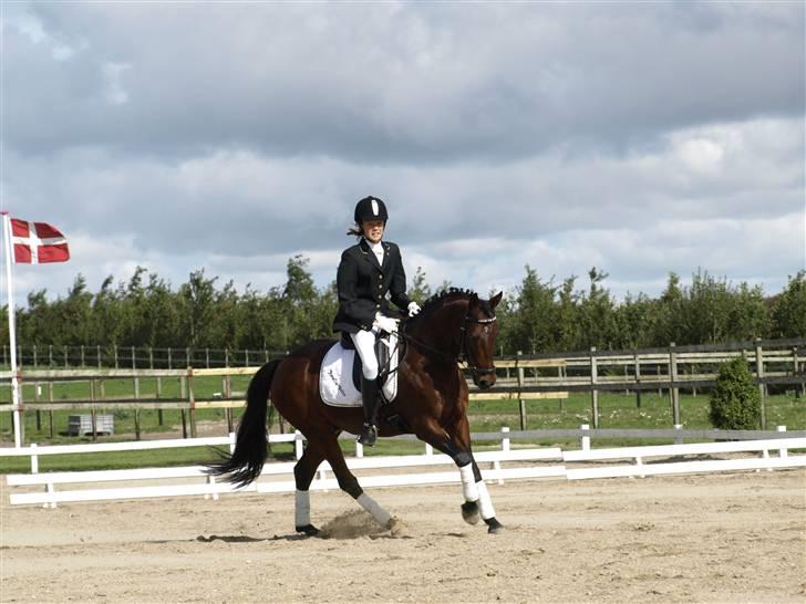 Anden særlig race lucky star billede 14