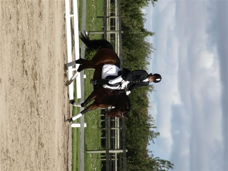 Anden særlig race lucky star billede 15