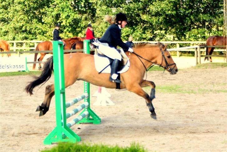 Anden særlig race Seven - : foto daddie/far billede 12