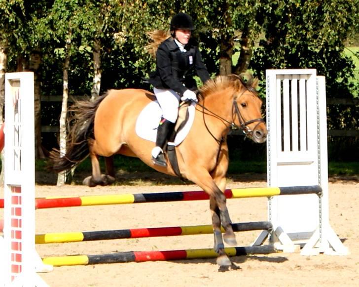 Anden særlig race Seven - : foto daddie/far billede 15