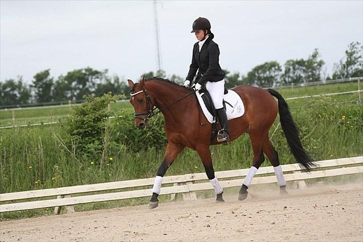 Anden særlig race Frederik Eliselund.<3 - Frederik Eliselund.<3 billede 6